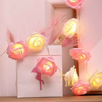 Rose fairy light 20 flowers in string 10ft length